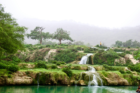 Salalah East Hidden Gems Tour
