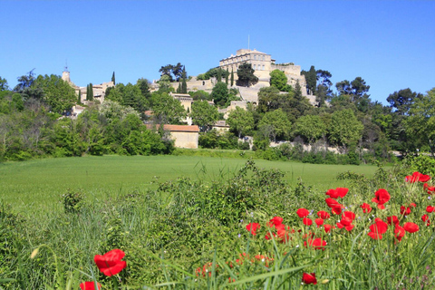 Aix-en-Provence: Nature Tour by Electric Bike Nature Tour by Electric Bike along the Durance
