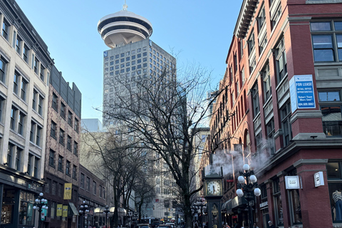 Vancouver: Hop-On Hop-Off City Tour by Car, Small Group