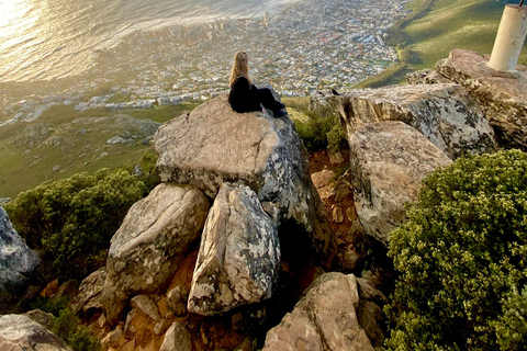 Excursión a Lion&#039;s Head: Ciudad del Cabo - Excursión al amanecer o al atardecerTour privado - Amanecer o Atardecer con servicio de recogida y regreso