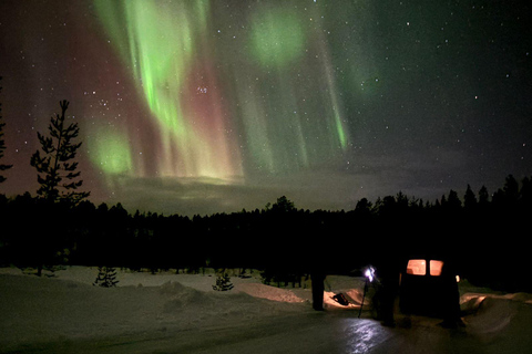 Saariselkä: Aurora Hunting Tour with Northern Lights Experts