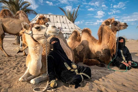 Camel Adventure in the Peruvian Desert