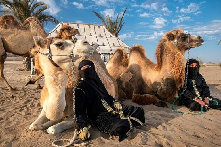 Avventura a dorso di cammello nel deserto peruviano