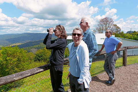 Brisbane to Sunshine Coast Hinterland Private Group Tour Luxurious Car - 4 guests