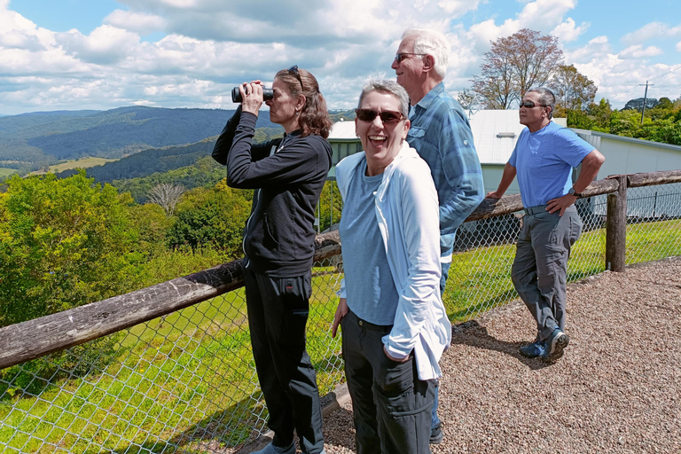 Visite VIP de l&#039;usine de gingembre et de Mountville au départ de BrisbaneCircuit + prise en charge et retour à Brisbane City