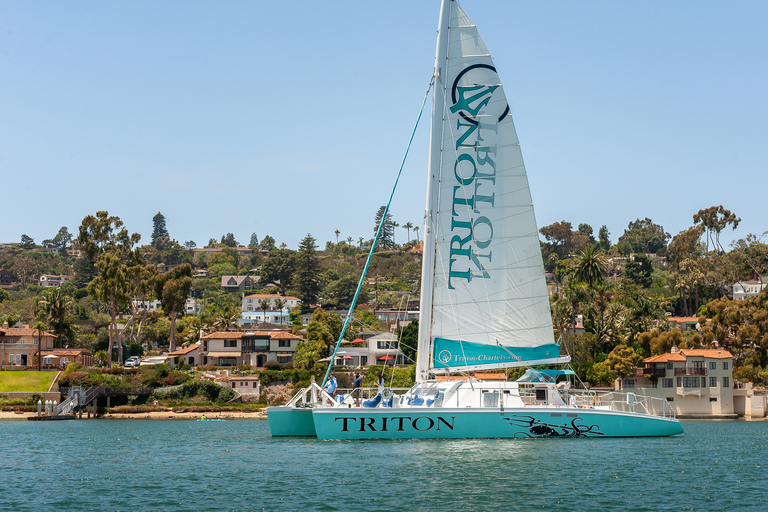 2,5 heures de visite de la baie sur le plus grand catamaran de San Diego