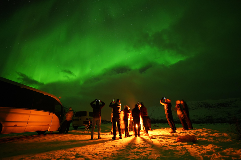 Tromsø: Northern Lights Tour with Free Professional Portrait