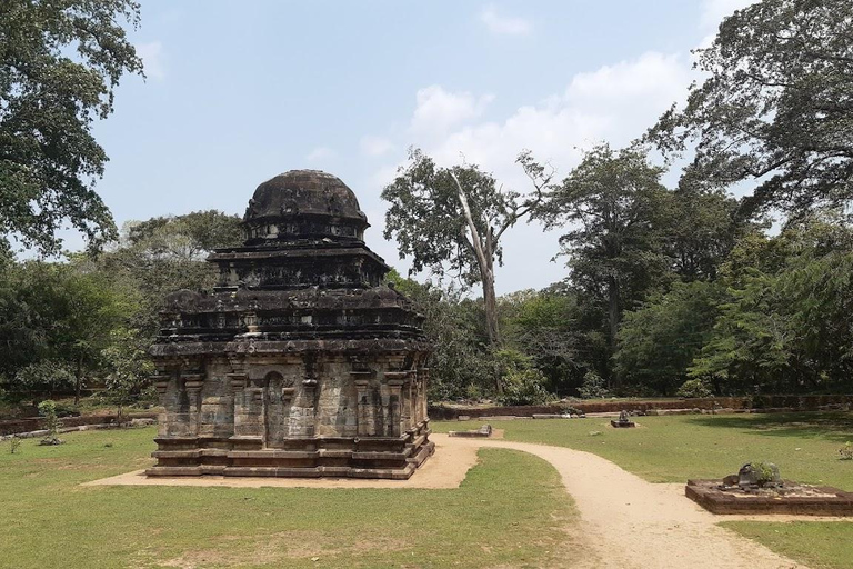 Polonnaruwa: All-Inclusive-Tagestour von Sigiriya