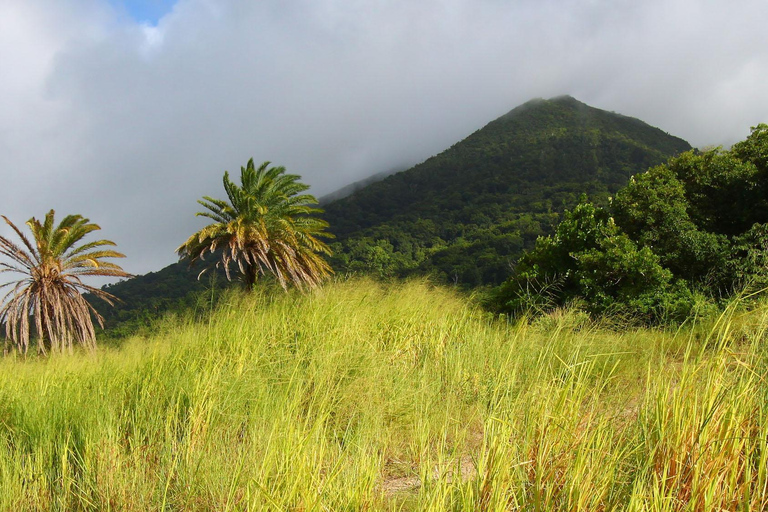 St. Kitts: Wycieczka po wyspie Nevis z lunchem i przewodnikiem