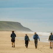 Adelaide: Fleurieu Gourmet 4-Day Walking Tour