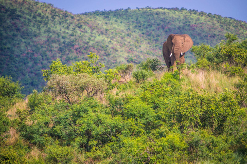 Elephant Hills Hike: 1-Day Adventure from Nairobi/Naivasha Elephant Hills Hike: 1-Day Adventure from Nairobi