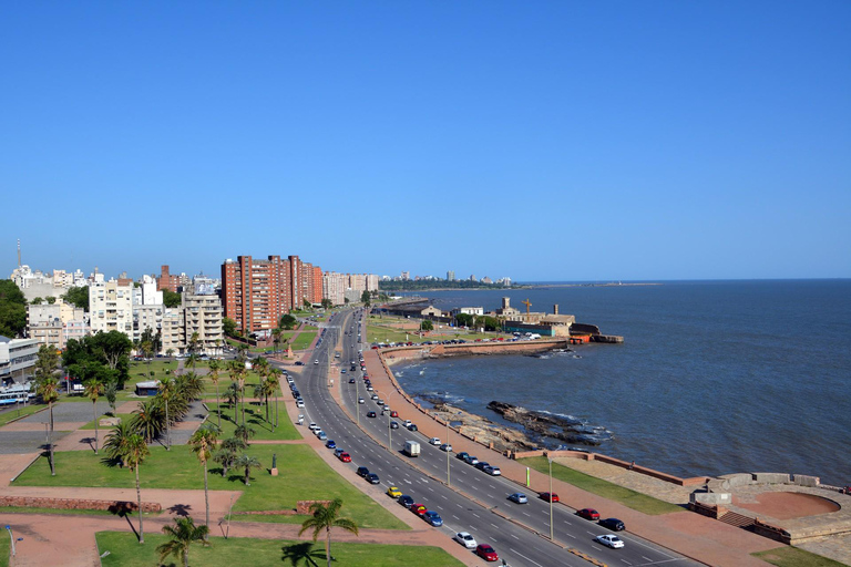 Fortaleza del Cerro Montevideo Private Tour with Tickets