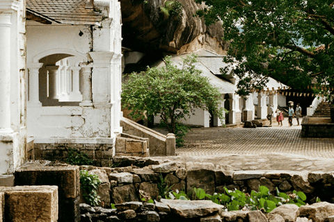 Colombo: Sigiriya & Dambulla All Inclusive Day Tour