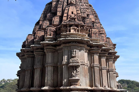 From Udaipur: Authentic Village Safari Experience