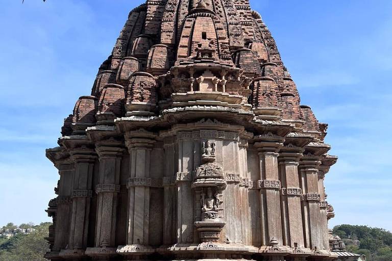 From Udaipur: Authentic Village Safari Experience