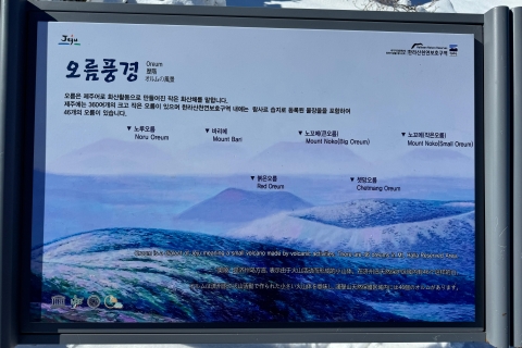 Wandeling Hallasan op het eiland Jeju, de hoogste berg van Zuid-KoreaJeju Hallasan; Sneeuwbloemenwandeltocht met lunch