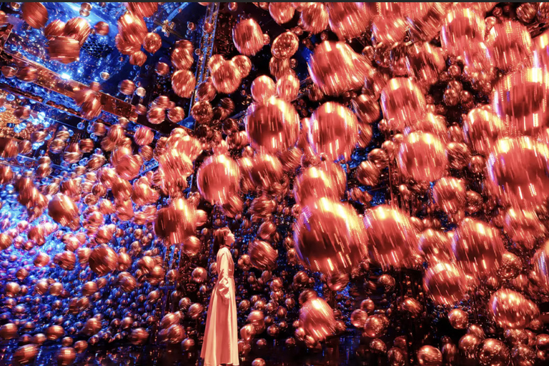 Kyoto: Kimono Experience with TeamLab Private Tour Kimono & Private Car Tour Package (Recommended)