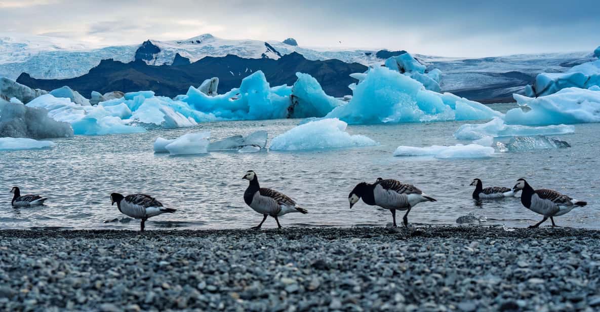 South Coast Glacier Lagoon & Diamond Beach Day Tour in Chinese — a boat tour from Reykjavik, Iceland