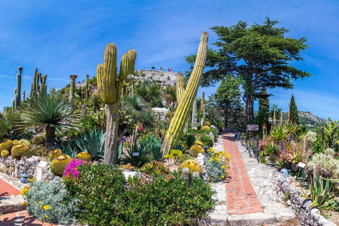 Vanuit Nice: Dagvullende tour naar Monaco, Monte-Carlo en EzeGroepsreis vanuit Nice