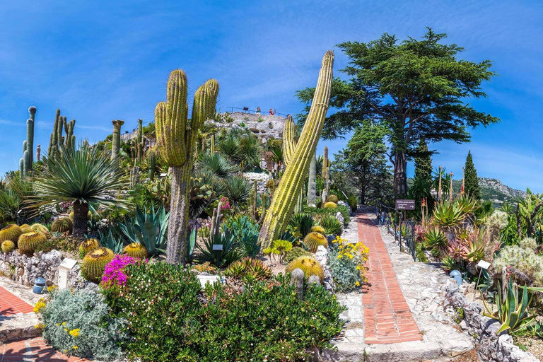 Vanuit Nice: Dagvullende tour naar Monaco, Monte-Carlo en EzeGroepsreis vanuit Nice