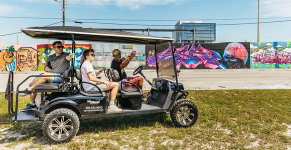 Wynwood Art District 1-stündige Street Art Tour mit dem Golf Cart
