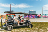 Wynwood Art District de 1 hora de arte callejero por carrito de golf - Housity