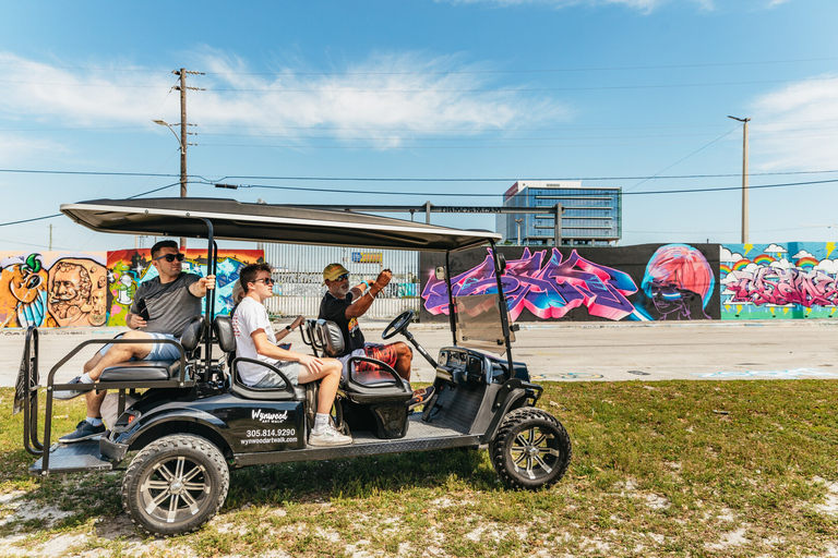 Excursão de arte de rua de 1 hora no Wynwood Art District em carrinho de golfe