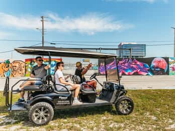 Wynwood Art District 1-times omvisning i gatekunst med golfbil