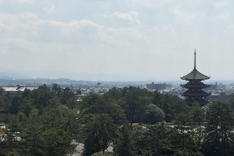 Nara: Tour privato guidato di un giorno intero