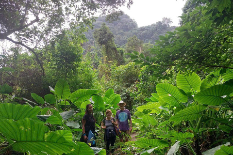 Hanoi: 2-Days Cat Ba Island, Lan Ha Bay Cruise, Ninh Binh
