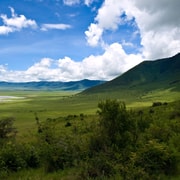 Tage Safari Serengeti Ngorongoro Krater Lake Manyara Getyourguide