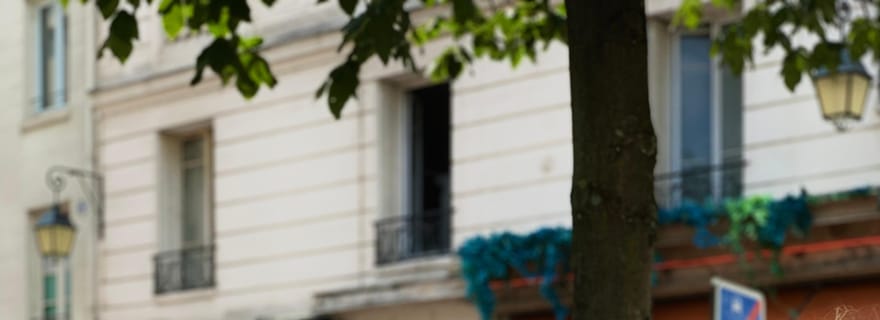 Paris : Visite guidée unique du marché avec dégustations