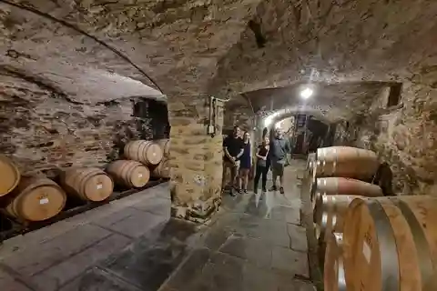 Un servicio de recogida local Excursión en grupo por el Valle de Clare para cuatro pasajeros.
