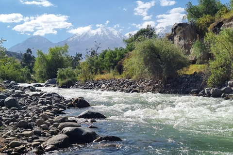Yoga & Nature Experience – discover the green Arequipa Yoga & Nature Experience - discover the green Arequipa