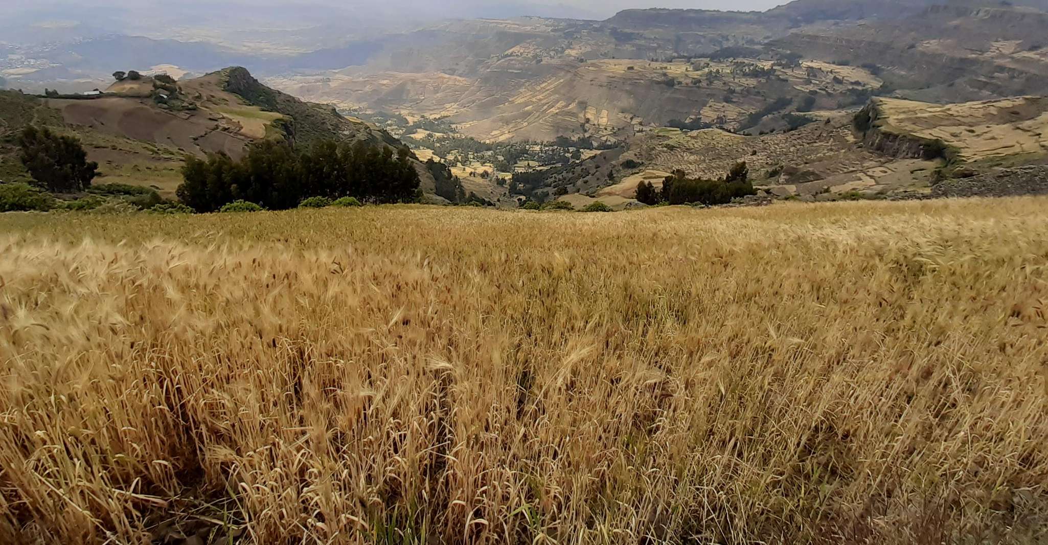 Lalibela, Mount. Asheten Half-Day Hiking Adventure - Housity