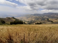Lalibela, Monte.Aventura de caminhada de meio dia Asheten - Housity
