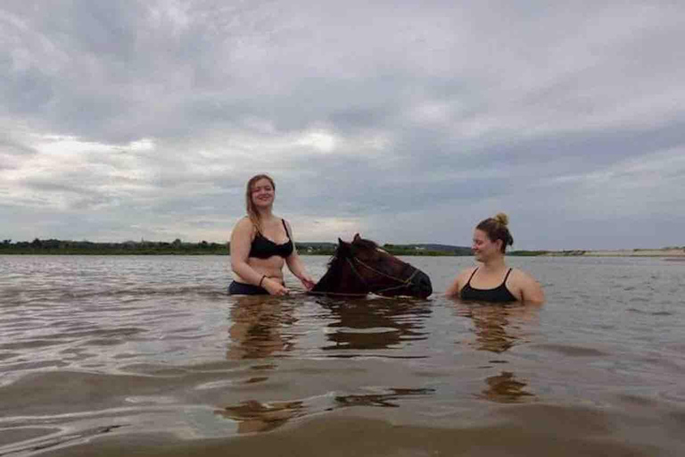 From Huatulco: Beach Horseback Riding Experience Regular Beach Horseback Riding Tour (2 hours)