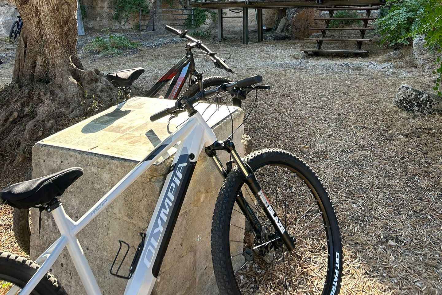 Fasano: tour in e-bike alla scoperta delle meraviglie del territorio