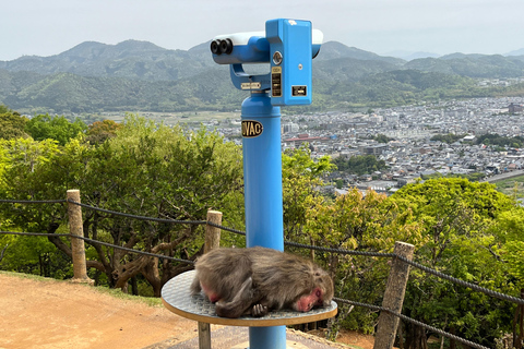 Kyoto - en resa Arashiyama Monkey Park, bambuskog och tempel