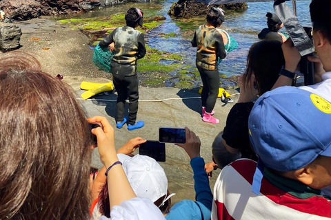 JEJU ORIENTALE: Tour privato tutto incluso con raccolta dei mandarini