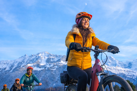 From Zurich: E-Bike Adventure in Interlaken Tour in English