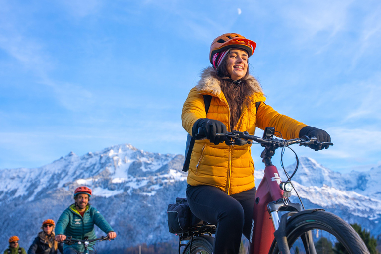 From Zurich: E-Bike Adventure in Interlaken Tour in English