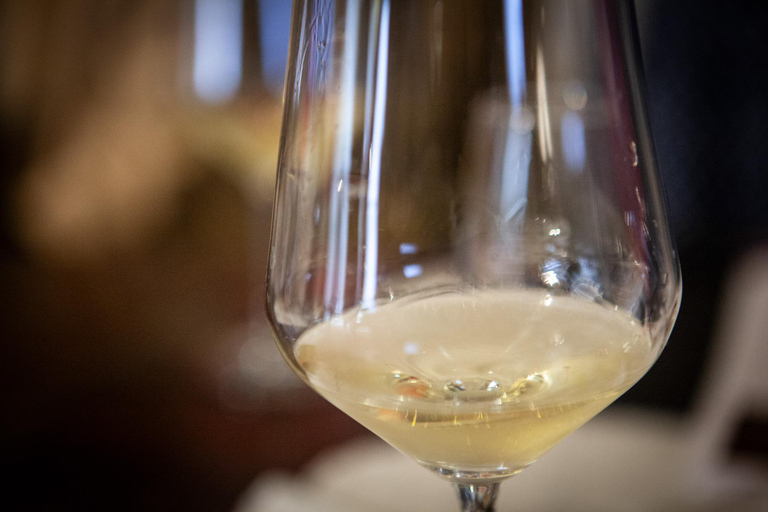 Mezzocorona: Teroldego Vineyard Tour and Wine Tasting Italian