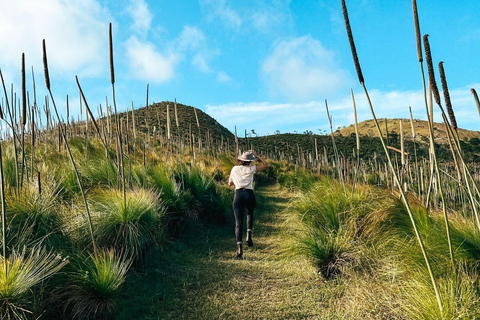 Recorrido autoguiado a pie por la isla de Molle Sur