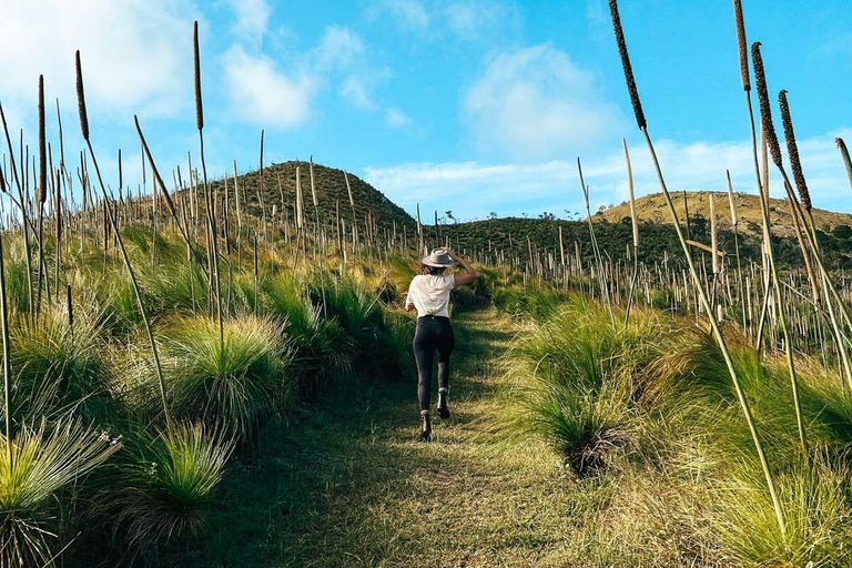 Visite guidée à pied de l'île de la Molle du Sud