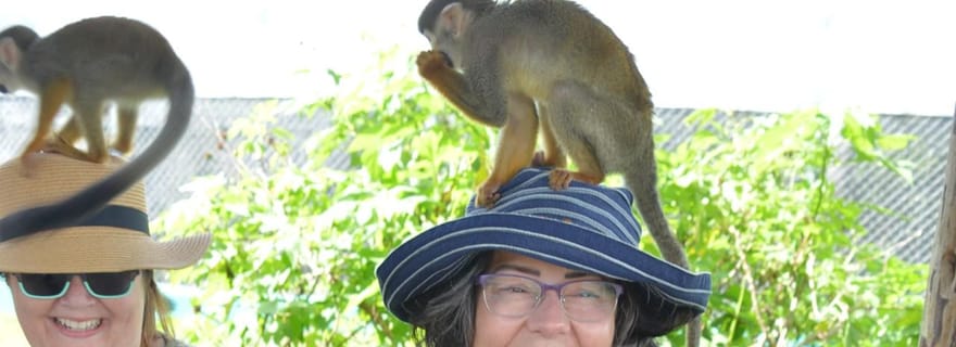 Rencontre avec les singes et découverte de la vie locale