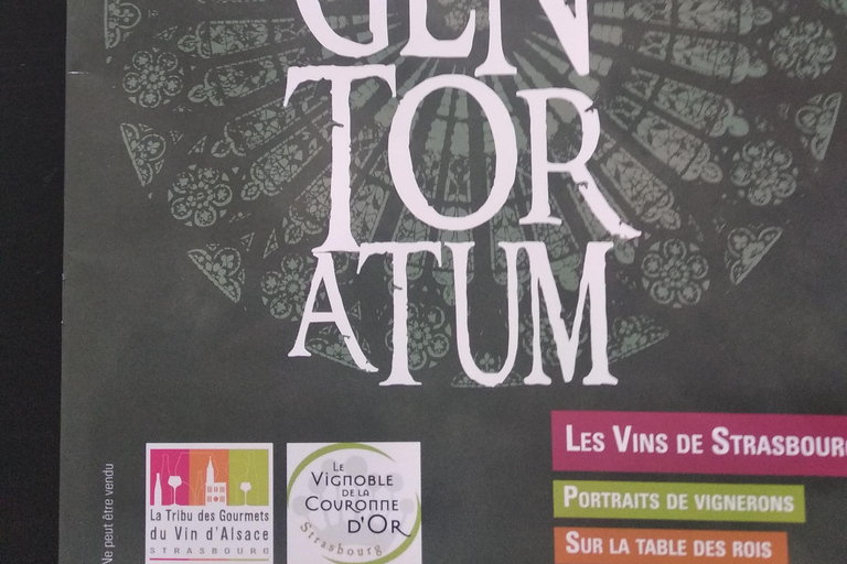 Wine tour of the Alsace wine route