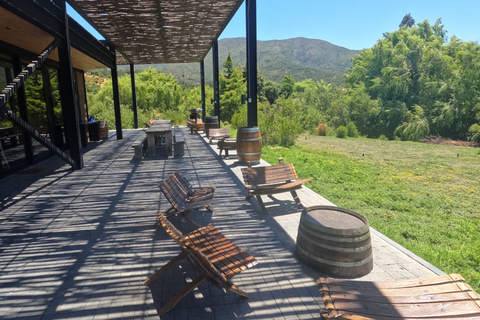 Curacaví Valley: Private Wine Tour of Viña Lopez Pangue and El Cuadro Curacaví Valley: Private Wine Route Tour - Viña Lopez Pangue and El Cuadro