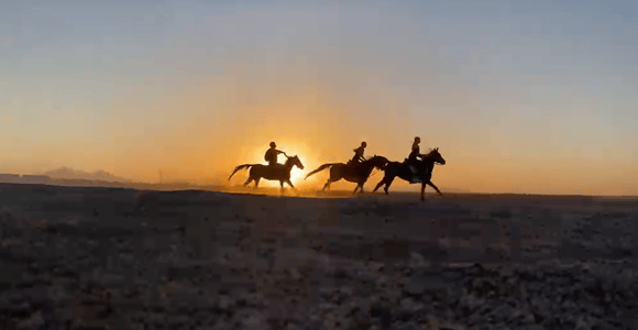 Marsa Alam: Horseback Riding Tour on the Beach