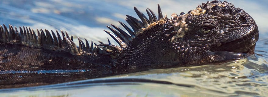 Isole Galápagos: tour di un'intera giornata a 360° a San Cristóbal